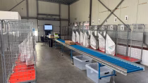Logistiek